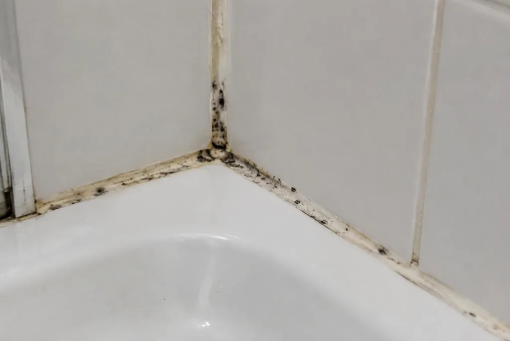 Kitbedrijf De Bilt – beschimmelde kitranden